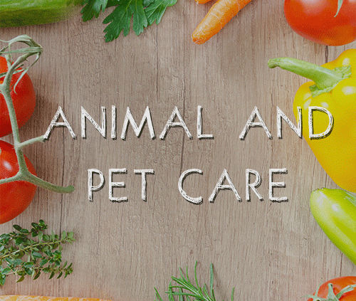 animal and pet care category